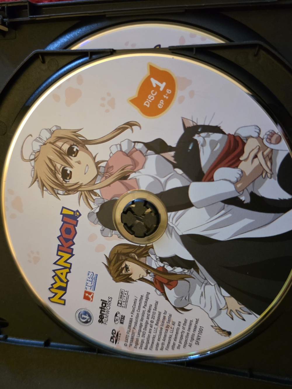 Nyanko! Anime DVD